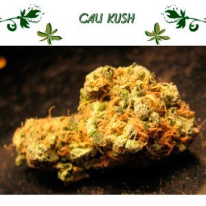 Cali Kush