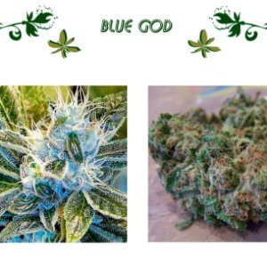 Blue God