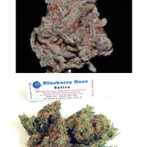 Blueberry Haze