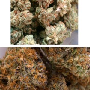 Phantom OG