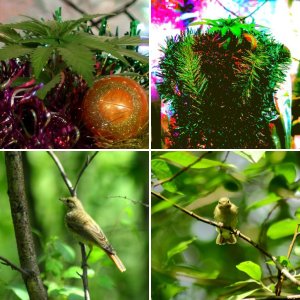 Мои фото