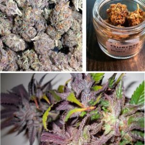 Querkle