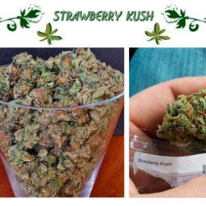 Strawberry Kush 