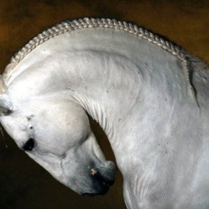 а