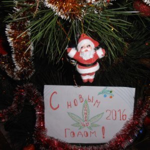 Новый 2016 год