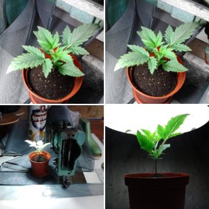 Мои фото