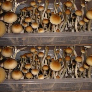 Разное