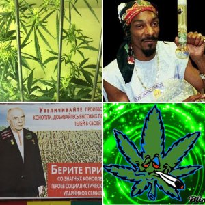 Rasta Legalize