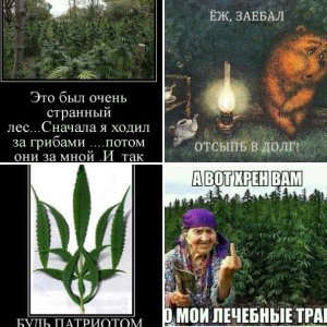 Веселуха!