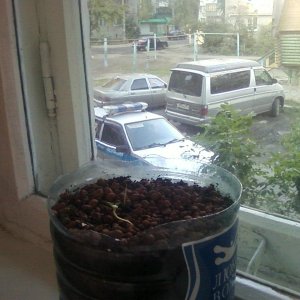 на заднем плане))