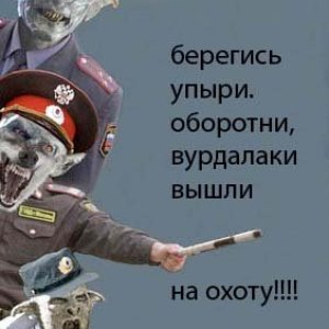 853c649bb6cbabc8