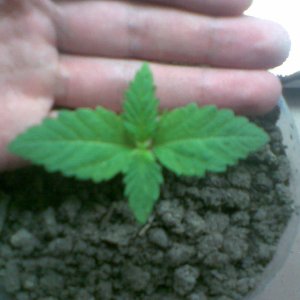 1ef2cbfb4aae5299