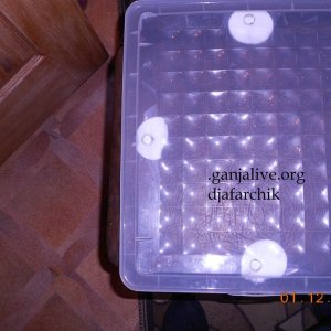DSCN0367