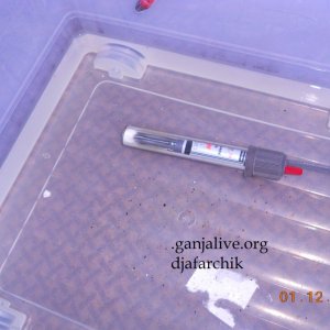 DSCN0368