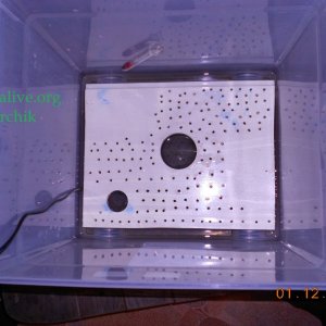 DSCN0372