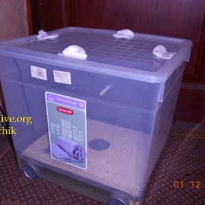 DSCN0374