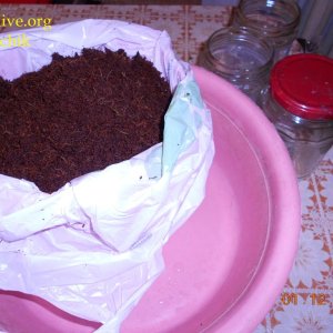 DSCN0379