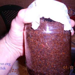 DSCN0380