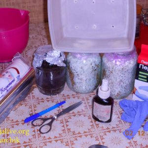 DSCN0386