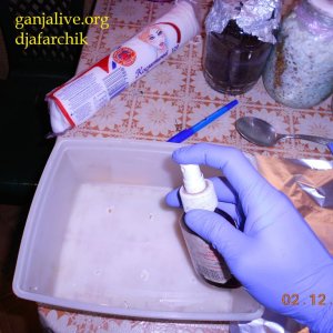 DSCN0387