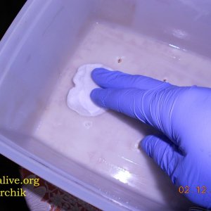 DSCN0393
