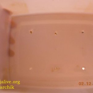 DSCN0396