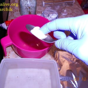 DSCN0400