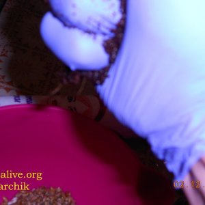 DSCN0404
