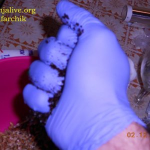 DSCN0405