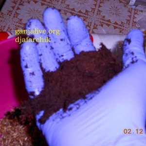 DSCN0406