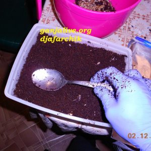 DSCN0408