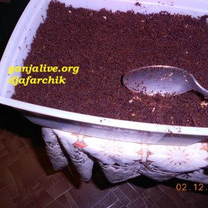 DSCN0409