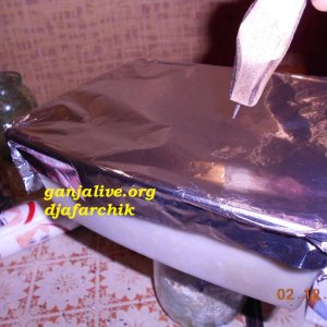 DSCN0411