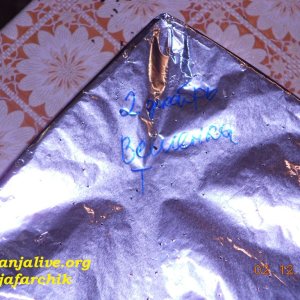 DSCN0413