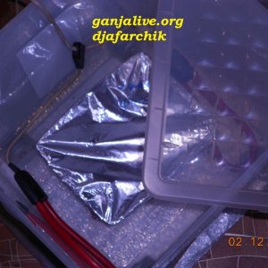 DSCN0414