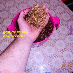 DSCN0417