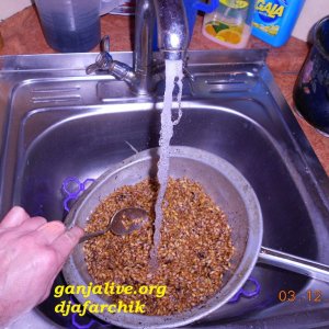 DSCN0419
