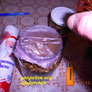 DSCN0424