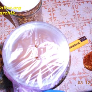 DSCN0425