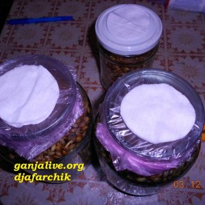 DSCN0427