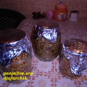 DSCN0428