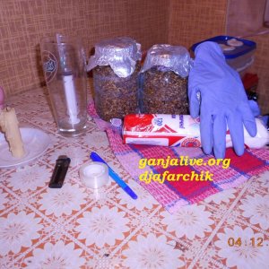 DSCN0431