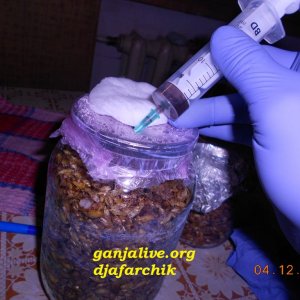 DSCN0433