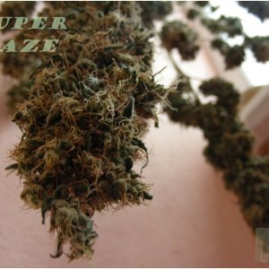 super_haze_dp