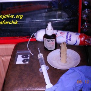 DSCN0447