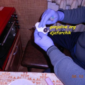DSCN0451