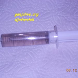 DSCN0458