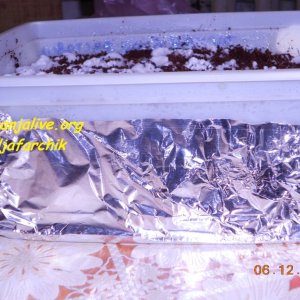 DSCN0460