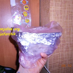 DSCN0461