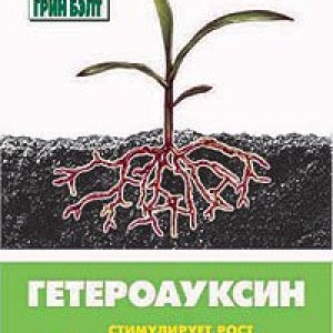 geterouksin  technoexport